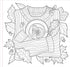 AUTUMN DREAMS ADULT COLORING BOOK - PETER PAUPER PRESS, INC.
